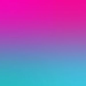 Meet your Posher, Leaja